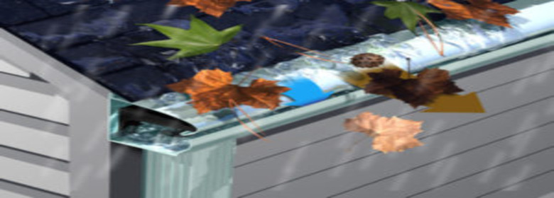 LeafGuard-Gutters-Niagara-300x225