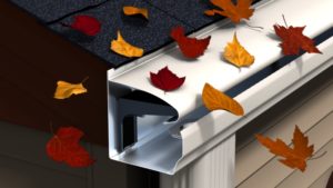 gutter_20121108_1234781263-300x169
