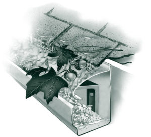 large_gutter_20110411_1360638004-300x272