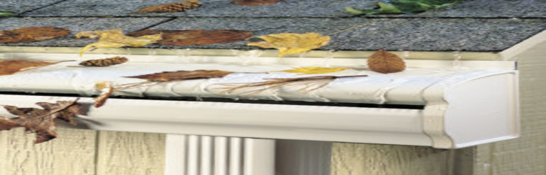 large_gutter_20110411_1928903319-300x245